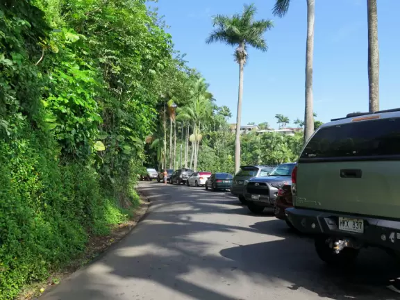 Honoli'i (Honolii) Beach Park has a beautiful headland, tropical vegetation, and a popular surfbreak.