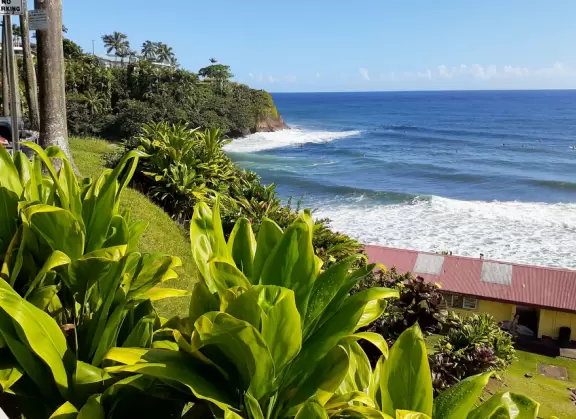 Honoli'i (Honolii) Beach Park has a beautiful headland, tropical vegetation, and a popular surfbreak.