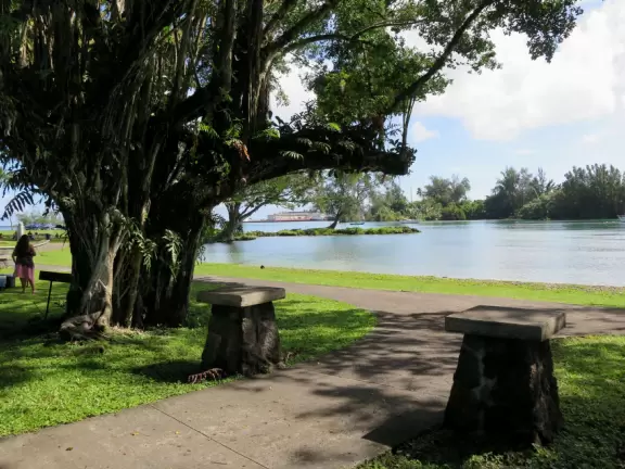 Boats and kayaks in the water, while local families have big gatherings on the grass.