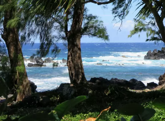 Rocky beach park with so much atmosphere.