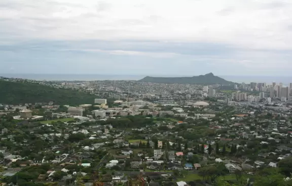 Limousines bring tourists up to Tantalus Lookout for panoramic views of Diamond Head, Waikiki, and Manoa.