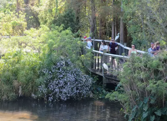 Incredible wetlands with huge gators, birds, and flowers. Emus, deer, playful bobcats, panthers, and three shows. Plus petting zoo with goats, and feeding budgerigars with seedsticks.