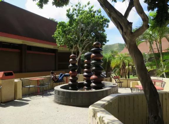 A heaven of tropical fruits, plants, flowers, coconut drinks, and hot foods. Plus the college's world-class cactus garden!