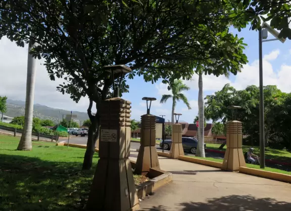 A heaven of tropical fruits, plants, flowers, coconut drinks, and hot foods. Plus the college's world-class cactus garden!