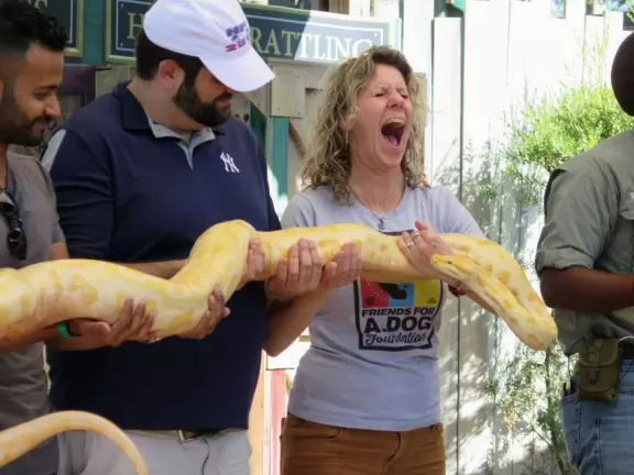 Incredible wetlands with huge gators, birds, and flowers. Emus, deer, playful bobcats, panthers, and three shows. Plus petting zoo with goats, and feeding budgerigars with seedsticks.
