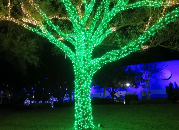 Beautiful park with great rollercoaster rides and amazing aquariums.