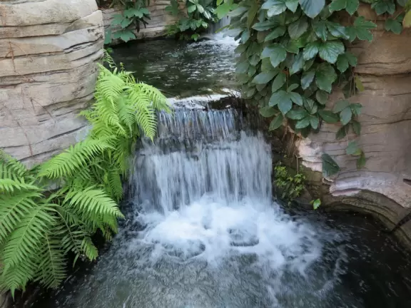 Hotel inside a giant atrium with tropical plants, fish, alligators, and decorations. ICE sculpture event in December.