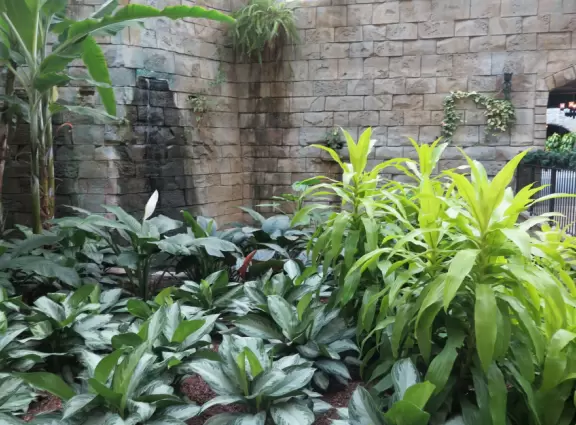 Hotel inside a giant atrium with tropical plants, fish, alligators, and decorations. ICE sculpture event in December.