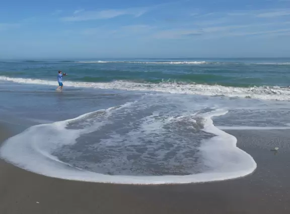 Peaceful beach with strong surf.