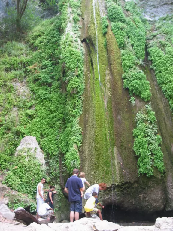 Twenty-minute wooded hike that leads to a high waterfall over mossy walls.