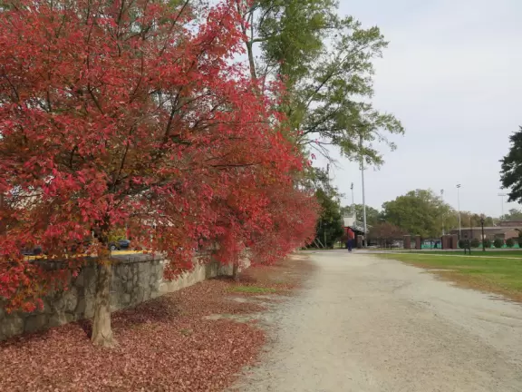 Great place for a walk, with&nbsp;Georgian architecture, busy students, main quad, and trail around the perimeter under gorgeous trees.