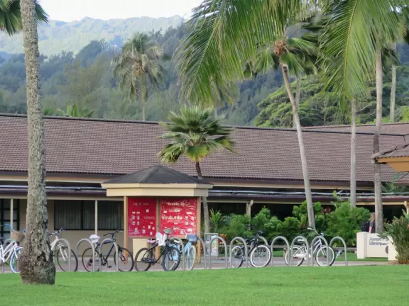 A nice walk past palms, flowers, and mountains on the Brigham Young University campus in La'ie (Laie).