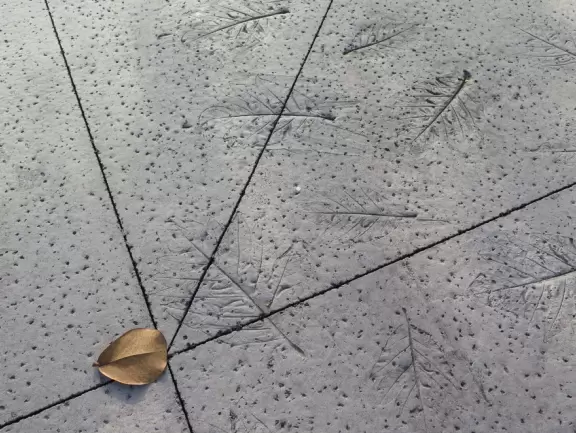 A nice walk past palms, flowers, and mountains on the Brigham Young University campus in La'ie (Laie).