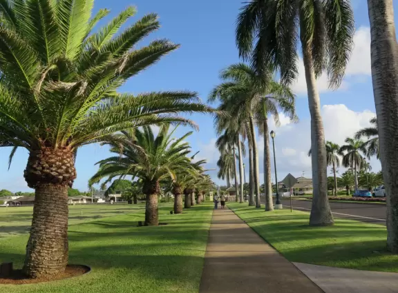 A nice walk past palms, flowers, and mountains on the Brigham Young University campus in La'ie (Laie).