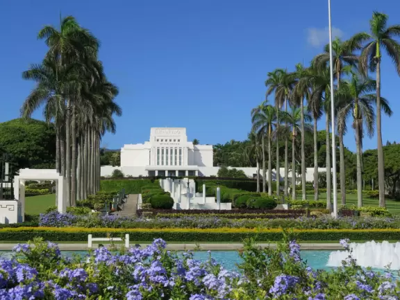 A nice walk past palms, flowers, and mountains on the Brigham Young University campus in La'ie (Laie).