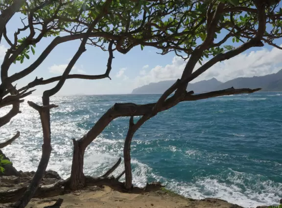 La'ie (Laie) Point Sea Arch is a stunning area you must see!