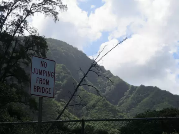 Beautiful mountains by the road.