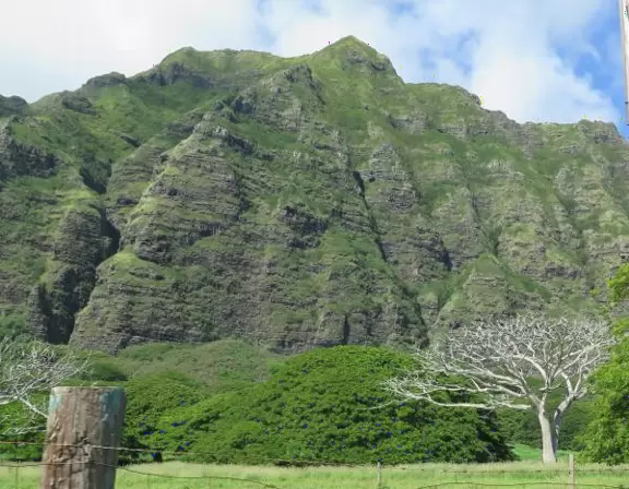 Bare tree and mountains.