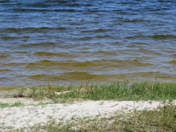 Park with nice breezes off the intracoastal and picnic pavilions.