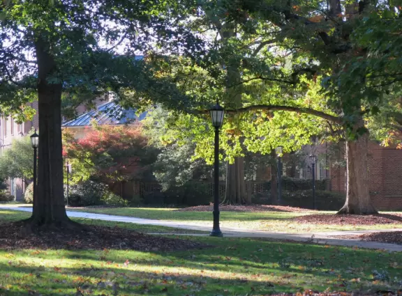 Historic buildings, sunny quad where students hang out, flowers and old trees, and fun student center area.