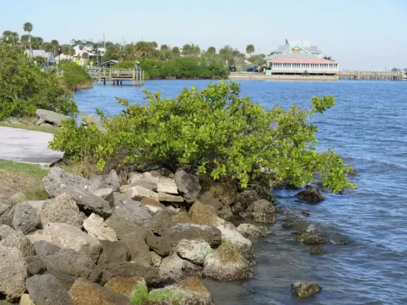 Park with shade, small playground, splash pad, and pier on the intracoastal.