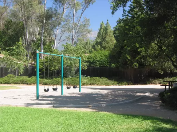 A redwood forest that looks like Northern California, with a playground and spacious knolly lawn.
