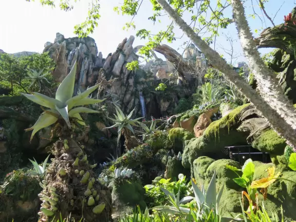 Lush theme park with African and Southeast Asian architecture- best for its two incredible shows and Pandora land.
