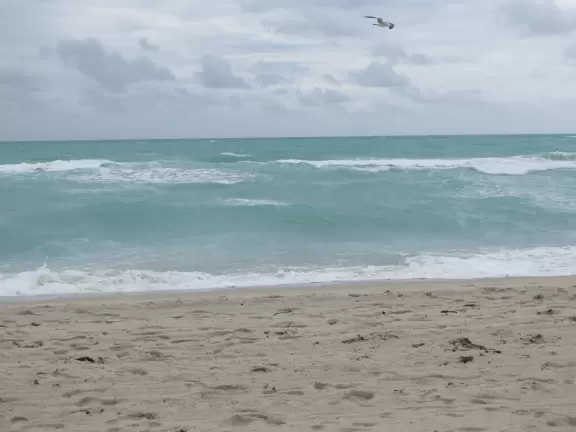 Blue-green water, pale beige sand, boardwalk or shoreline for long walks- bliss!