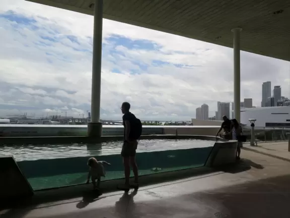 Amazing science center with aquarium, engineering lab, mirror maze, health displays, flight room, and gorgeous architecture and views.