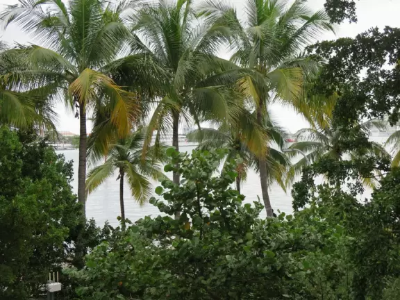 Art museum on the water with fantastic public spaces for all to enjoy, and a good gift shop.