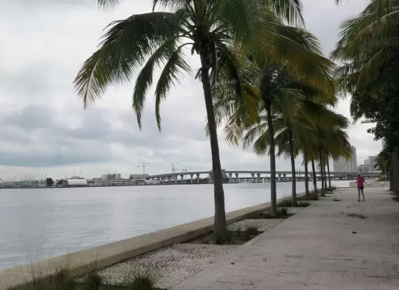 Art museum on the water with fantastic public spaces for all to enjoy, and a good gift shop.