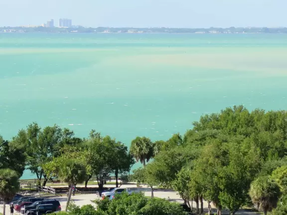 White lighthouse with blue-green water behind- a gorgeous sight! And easy to climb!