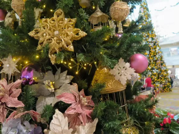 Walk around the grounds of two of Disney's deluxe resorts.