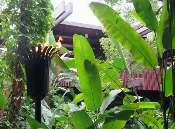 Walk around the grounds of two of Disney's deluxe resorts.