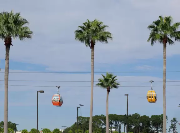 Beautiful theme park with art deco buildings and California-style palms, and the amazing Star Wars land.