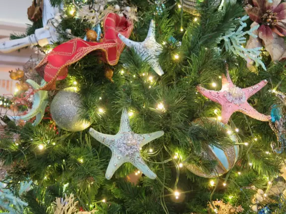 Fantastic walk around Crescent Lake, past beautiful hotels!