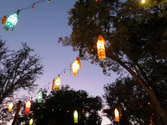 Lush theme park with African and Southeast Asian architecture- best for its two incredible shows and Pandora land.