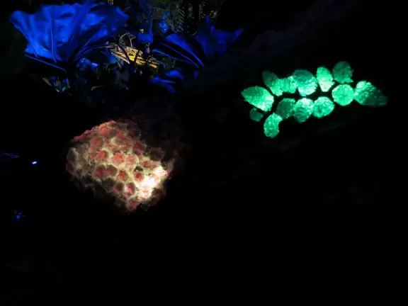 Lush theme park with African and Southeast Asian architecture- best for its two incredible shows and Pandora land.