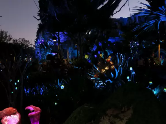 Lush theme park with African and Southeast Asian architecture- best for its two incredible shows and Pandora land.