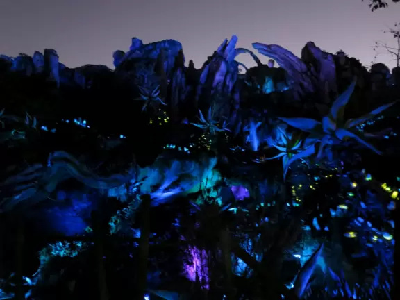 Lush theme park with African and Southeast Asian architecture- best for its two incredible shows and Pandora land.