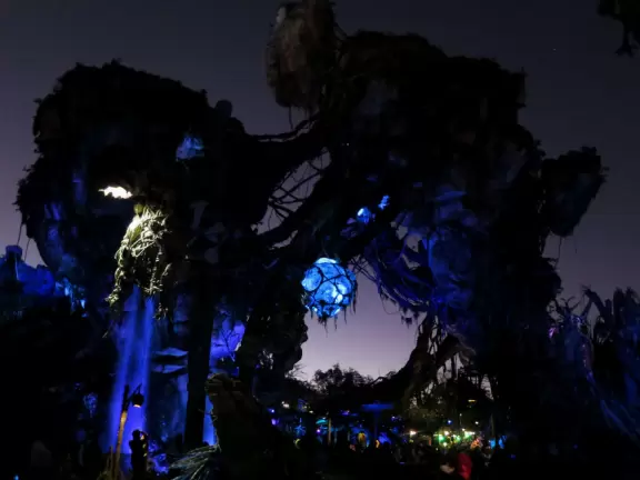 Lush theme park with African and Southeast Asian architecture- best for its two incredible shows and Pandora land.