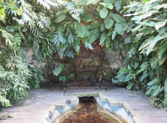 Beautiful garden with many partitioned areas, tropical plants, flowers, all with the blue lake behind. Plus, promenade around the lake.