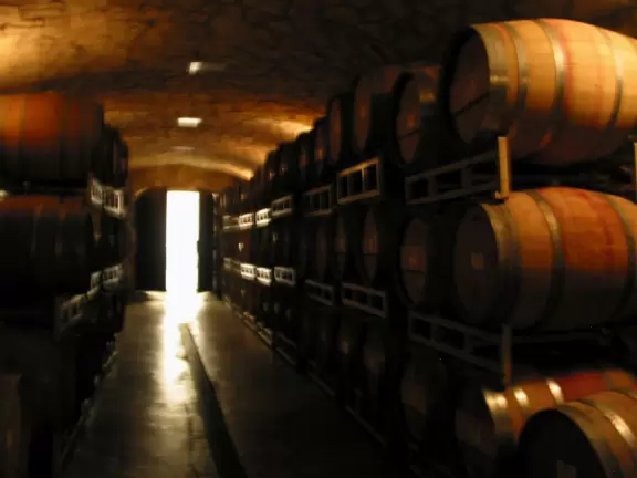 An organic winery with mountain views, garden patio, and exquisite Spanish-style cellar.