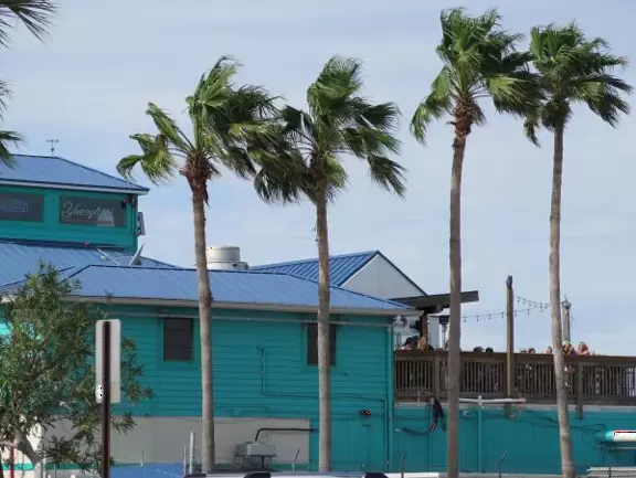 Fun spot with several waterfront cafes that are colorful. Almost blue-green water, dolphins, pelicans, and turtles!