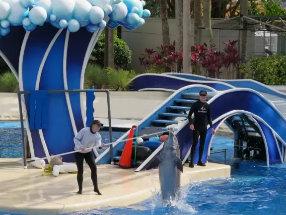 Beautiful park with great rollercoaster rides and amazing aquariums.