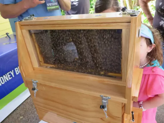 Beautiful park with great rollercoaster rides and amazing aquariums.