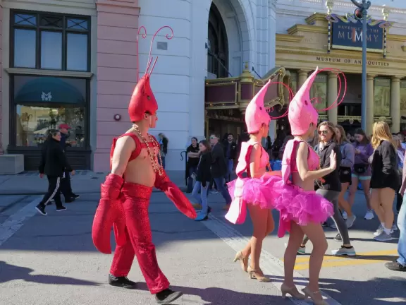 Theme park with fun rides, performers, and wonderful Harry Potter areas.