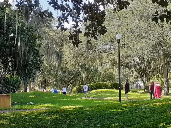 Modern building with large windows, fascinating Peruvian and Costa Rican objects, and sculpture garden in Loch Haven Park.