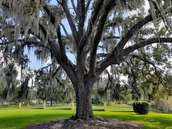 Modern building with large windows, fascinating Peruvian and Costa Rican objects, and sculpture garden in Loch Haven Park.