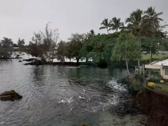 Boats and kayaks in the water, while local families have big gatherings on the grass.